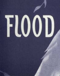 logo Flood (POR)
